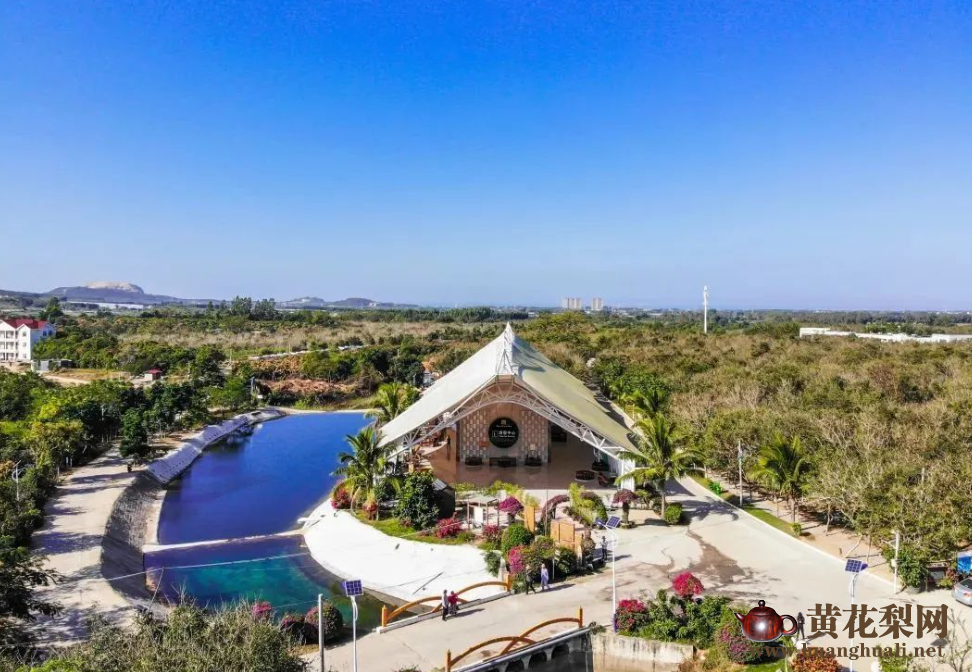 “世界花梨看中国，中国花梨在海南，海南花梨数东方。